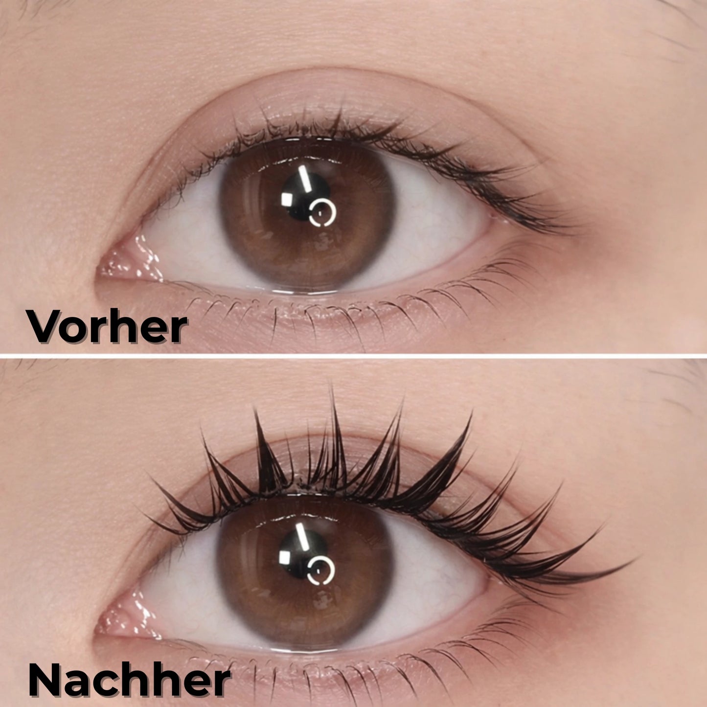Lash Dream™ Press On Lashes - Kein Kleber nötig